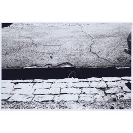 Bluestone paving stones