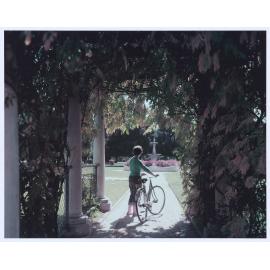 A beautiful glimpse through an autumn tinted wisteria archway into Robertson Park