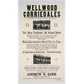Wellwood Corriedales : Registered Flock No. 37 Australasian (Lincoln-Merino) Corriedale Society