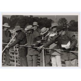 Orange Saleyards