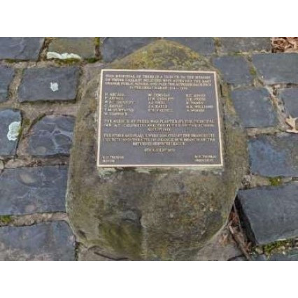 Newman Park WWI Memorial Avenue of trees inscription on monument