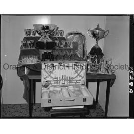 Orange Cup trophies at Angus & Coote