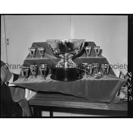 Orange Cup trophies at Angus & Coote