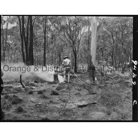 Bushfire at Bowan Park