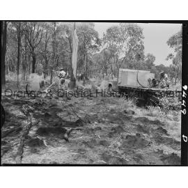 Bushfire at Bowan Park