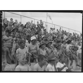 Primary Schools Amateur Athletic Association swimming carnival