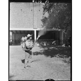 Geoff Fanning spraying trees at the racecourse