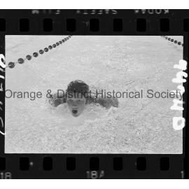 Orange swimming meet