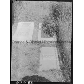 Dog cemetery
