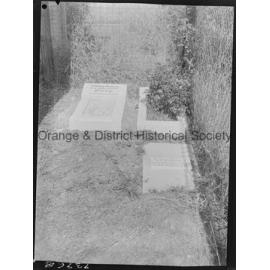 Dog cemetery