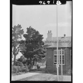 Flag in tree at Technical College