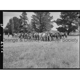 Orange Pony Club camp