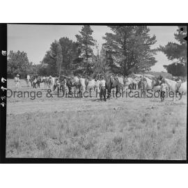 Orange Pony Club camp