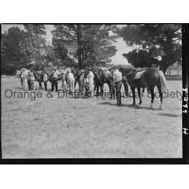 Orange Pony Club camp