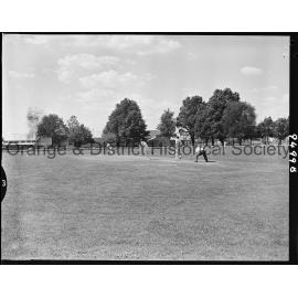 Esso Challenge cricket cup at Wade Park