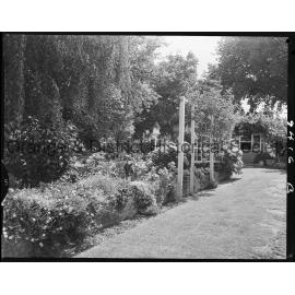 Prize-winning garden