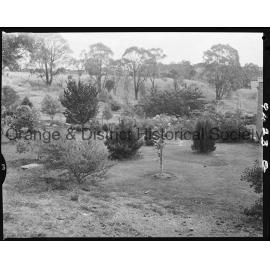 Garden of Dr J E Dunlop