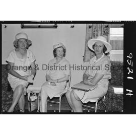 Orange Base Hospital 16th graduate nurses' reunion