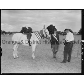 Blayney Show