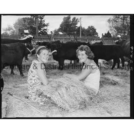 Blayney Show