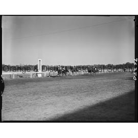 Orange Jockey Club race meeting