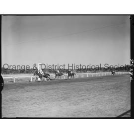 Orange Jockey Club race meeting