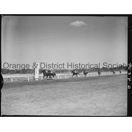 Orange Jockey Club race meeting