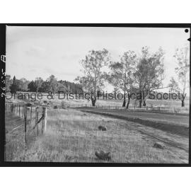 Dangerous bend to be eliminated