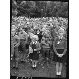 Orange Infants School Anzac tribute