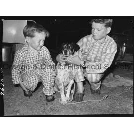 Family dog saves boy from drowning