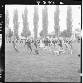 Molong Novelty Sports Day