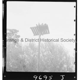 Molong Novelty Sports Day