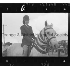 Orange Show second day