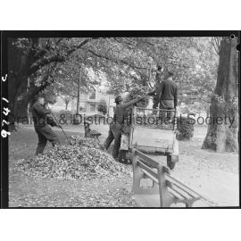 Council workmen cleaning up leaves