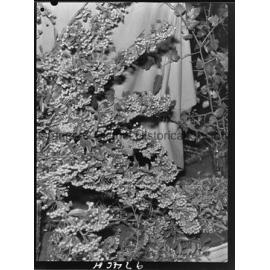 Berry fete at CWA Hall