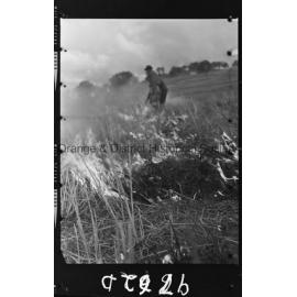 Fighting bushfires from the air