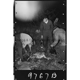 Sheep trailer accident