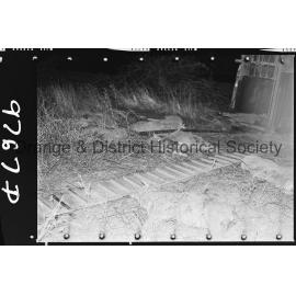 Sheep trailer accident