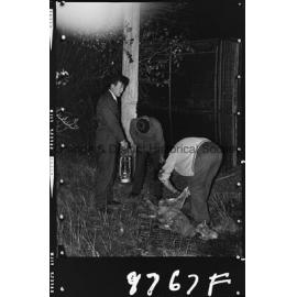 Sheep trailer accident