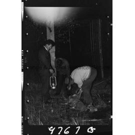 Sheep trailer accident