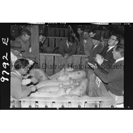 Pig auctions