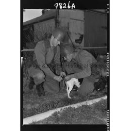 Army survival exercises