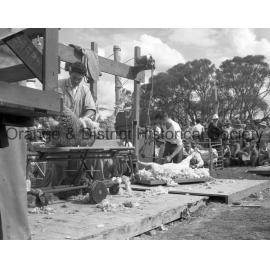 Field Days demonstrations & prizegiving
