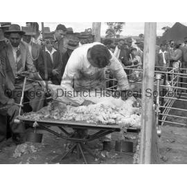 Field Days demonstrations & prizegiving