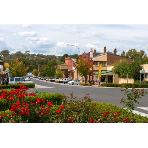 Molong, NSW