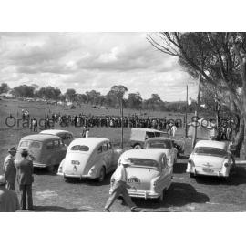 Field Days