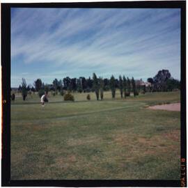 Duntryleague Golf Course, Orange