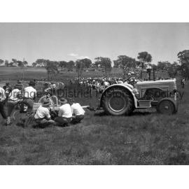 Field Days