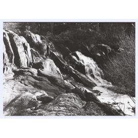 Cascades, Kangaroobie