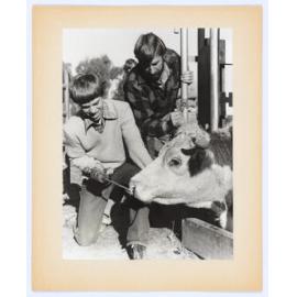 Youth in the 80s: CYSS Rural Work Skills